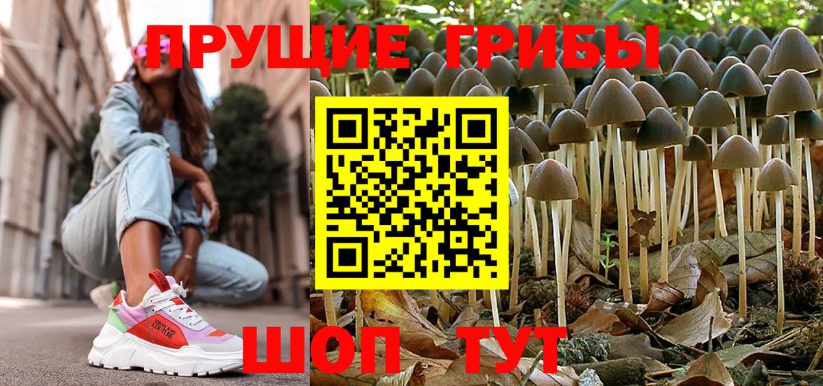 Псилоцибиновые грибы прущие грибы  Вход с VPN  Вязьма  Псилоцибиновые грибы прущие грибы 