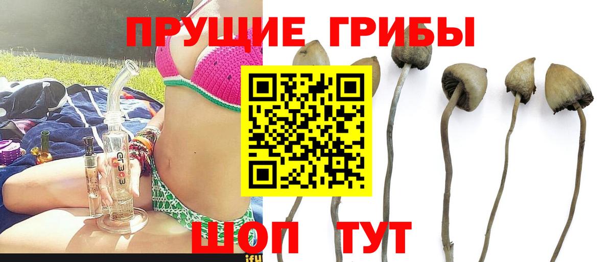 Галлюциногенные грибы MAGIC MUSHROOMS Вязьма